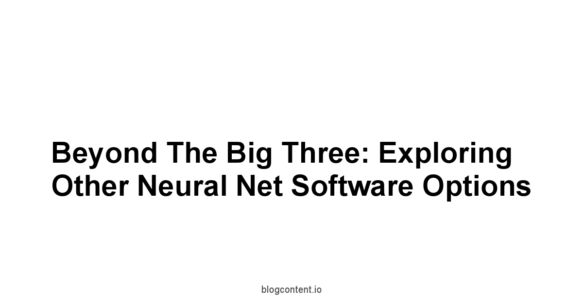 Beyond the Big Three: Exploring Other Neural Net Software Options