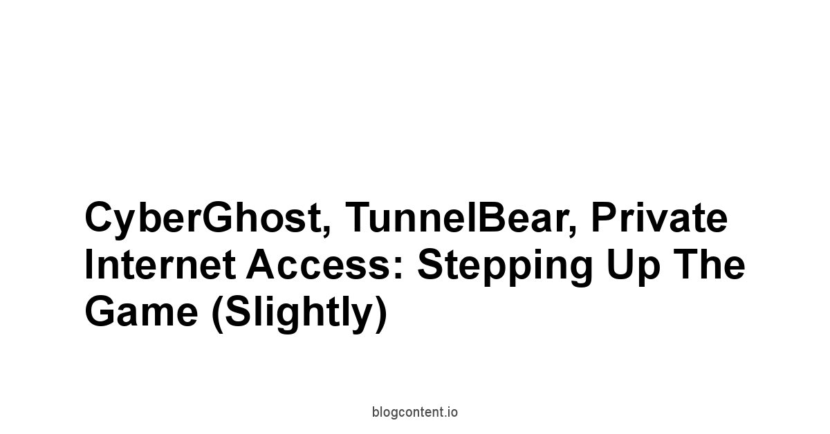 CyberGhost, TunnelBear, Private Internet Access: Stepping Up the Game Slightly