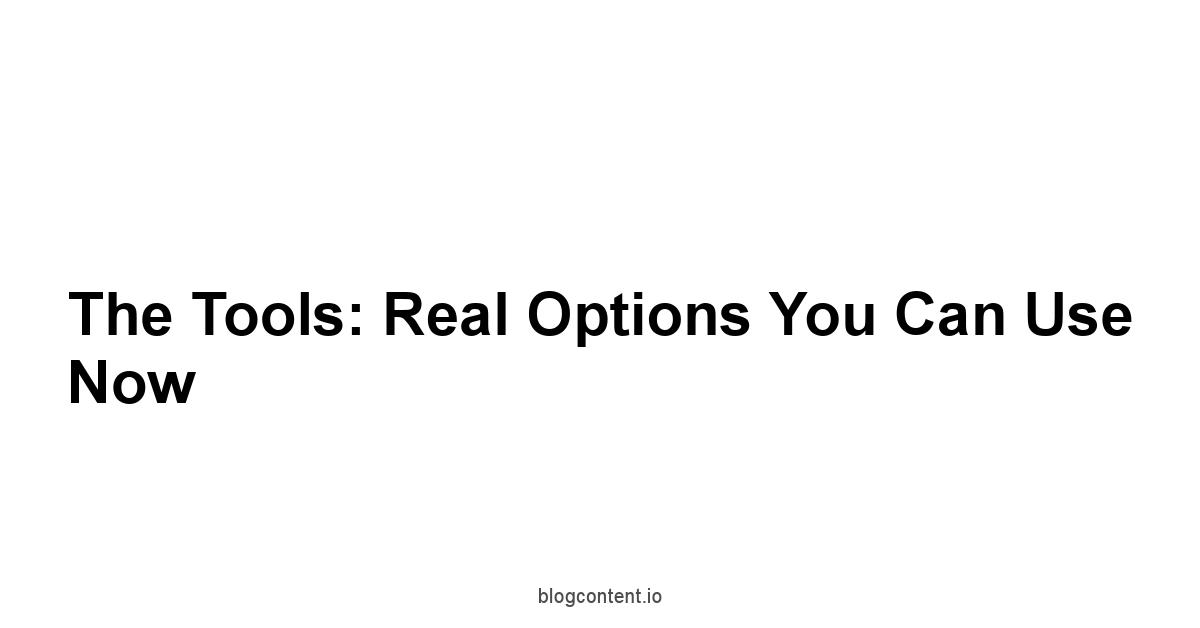 The Tools: Real Options You Can Use Now