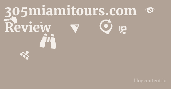 305miamitours.com Review 1 by Partners