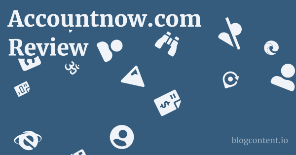 Accountnow.com Review 1 by Partners