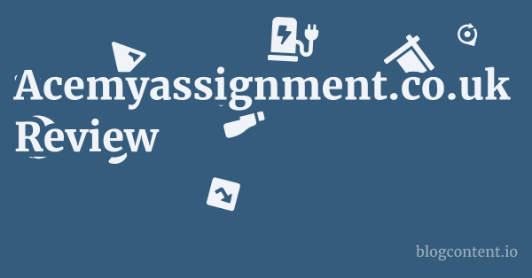 Acemyassignment.co.uk Review 1 by Partners