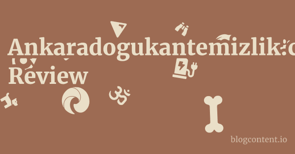 Ankaradogukantemizlik.com Review 1 by Partners