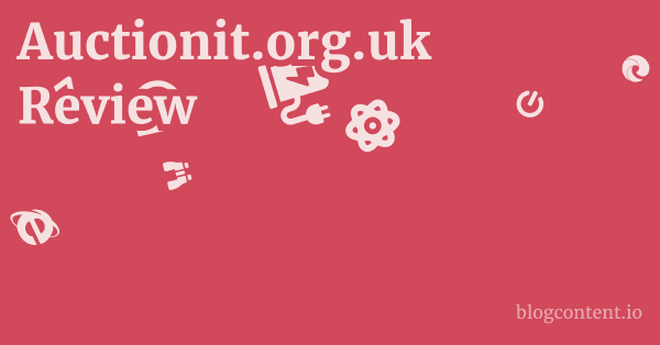 Auctionit.org.uk Review 1 by Partners
