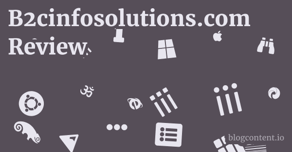 B2cinfosolutions.com Review 1 by Partners