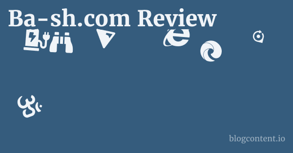 Ba-sh.com Review 1 by Partners