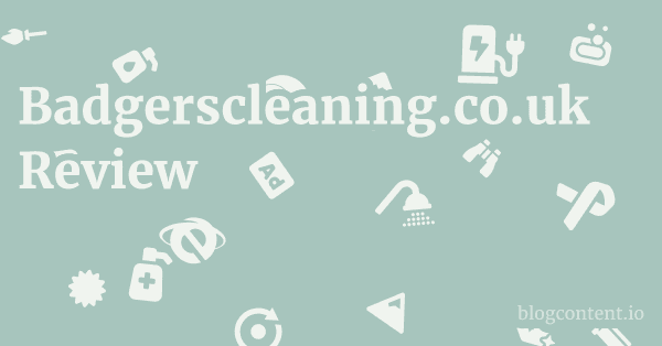 Badgerscleaning.co.uk Review 1 by Partners