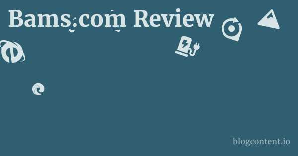 Bams.com Review 1 by Partners