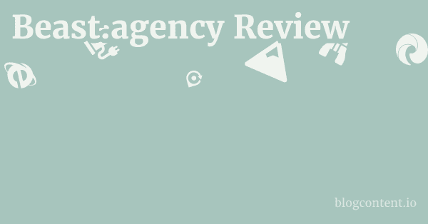 Beast.agency Review 1 by Partners