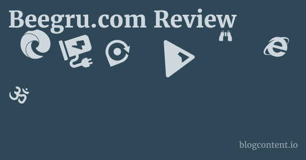 Beegru.com Review 1 by Partners