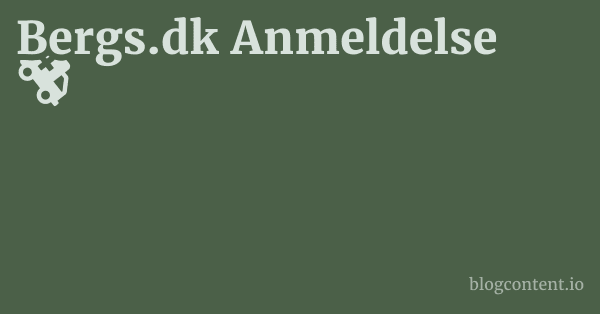 Bergs.dk Anmeldelse 1 by Partners