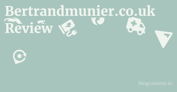 Bertrandmunier.co.uk Review 1 by Partners