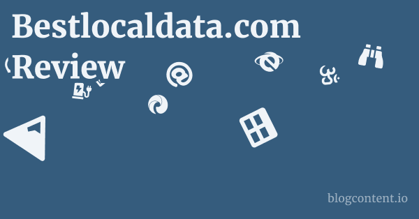 Bestlocaldata.com Review 1 by Partners