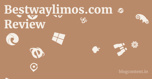 Bestwaylimos.com Review 1 by Partners