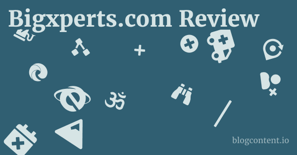 Bigxperts.com Review 1 by Partners