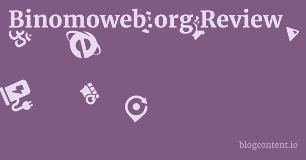 Binomoweb.org Review 1 by Partners
