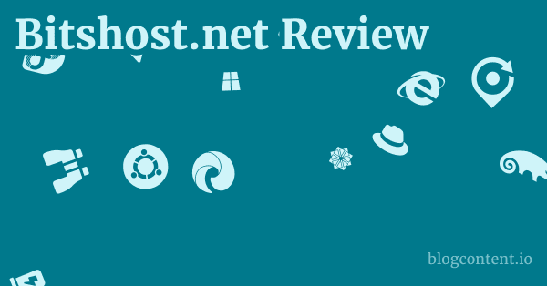 Bitshost.net Review 1 by Partners