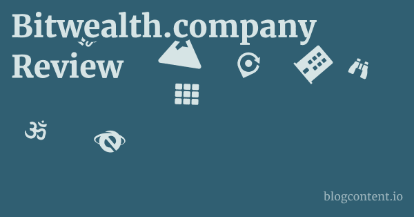 Bitwealth.company Review 1 by Partners