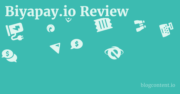 Biyapay.io Review 1 by Partners
