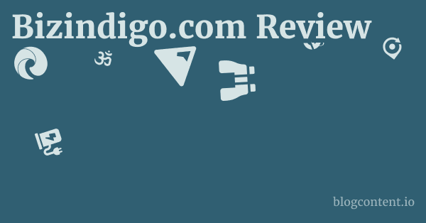 Bizindigo.com Review 1 by Partners
