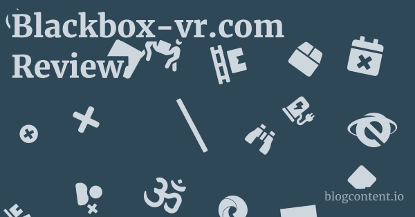 Blackbox-vr.com Review 1 by Partners
