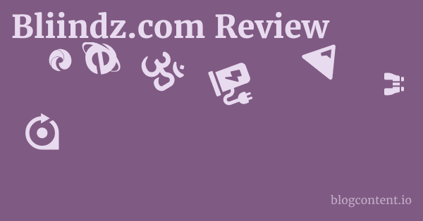 Bliindz.com Review 1 by Partners