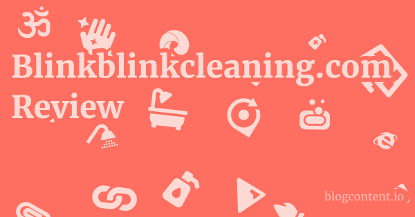 Blinkblinkcleaning.com Review 1 by Partners
