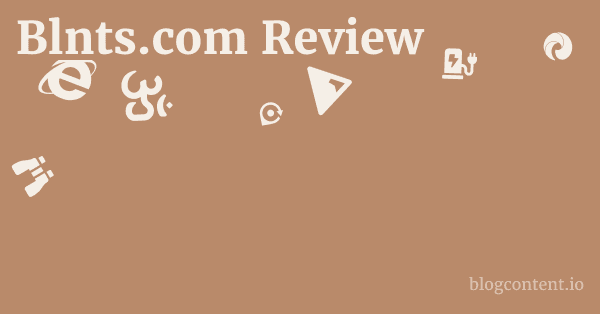Blnts.com Review 1 by Partners