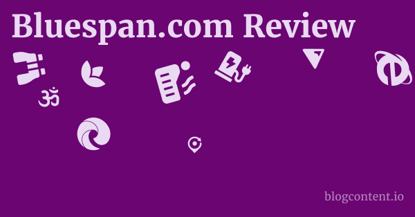Bluespan.com Review 1 by Partners
