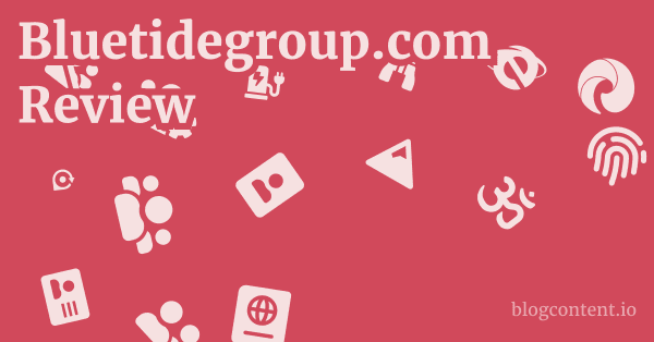 Bluetidegroup.com Review 1 by Partners
