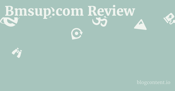 Bmsup.com Review 1 by Partners