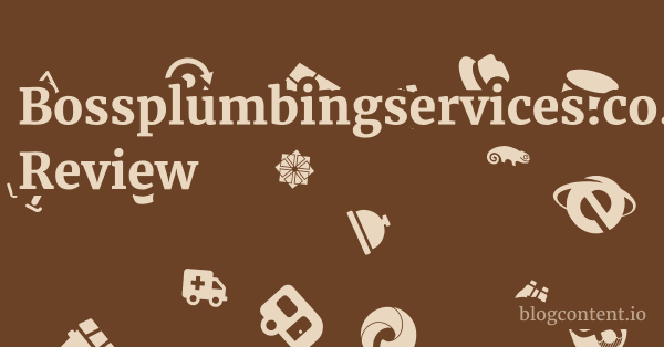 Bossplumbingservices.co.uk Review 1 by Partners