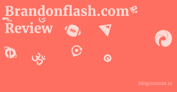 Brandonflash.com Review 1 by Partners