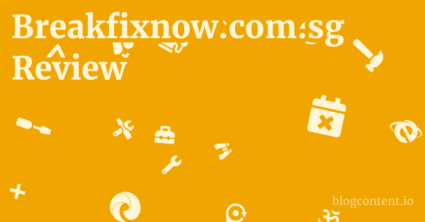Breakfixnow.com.sg Review 1 by Partners