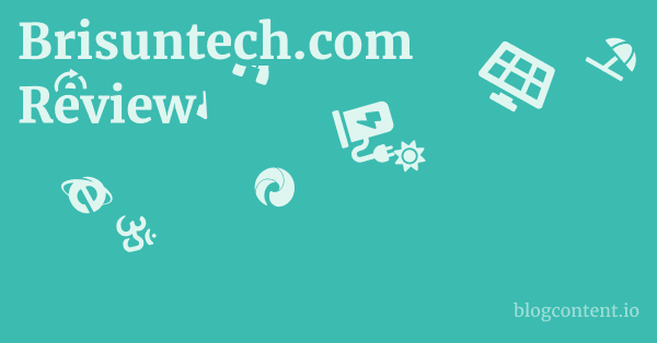 Brisuntech.com Review 1 by Partners