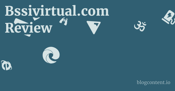 Bssivirtual.com Review 1 by Partners