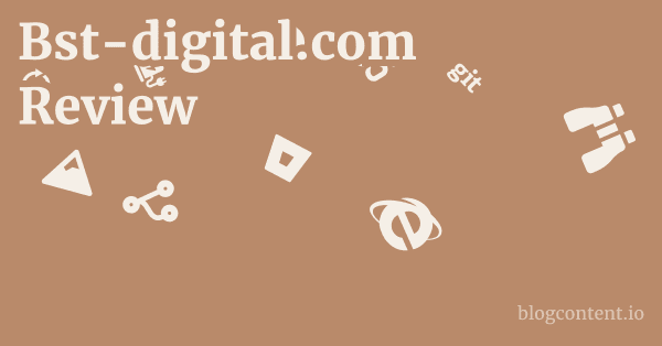 Bst-digital.com Review 1 by Partners