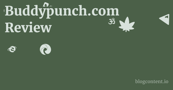 Buddypunch.com Review 1 by Partners