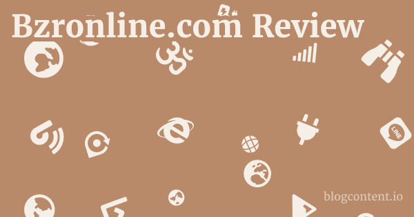 Bzronline.com Review 1 by Partners