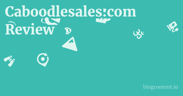Caboodlesales.com Review 1 by Partners