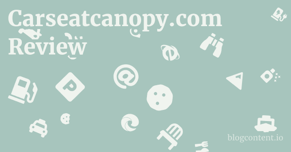 Carseatcanopy.com Review 1 by Partners