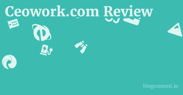 Ceowork.com Review 1 by Partners