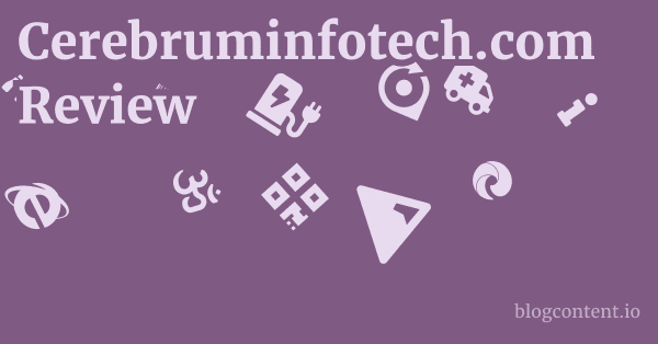 Cerebruminfotech.com Review 1 by Partners