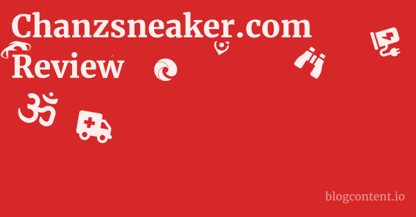 Chanzsneaker.com Review 1 by Partners