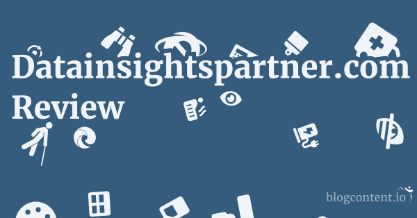 Datainsightspartner.com Review 1 by Partners