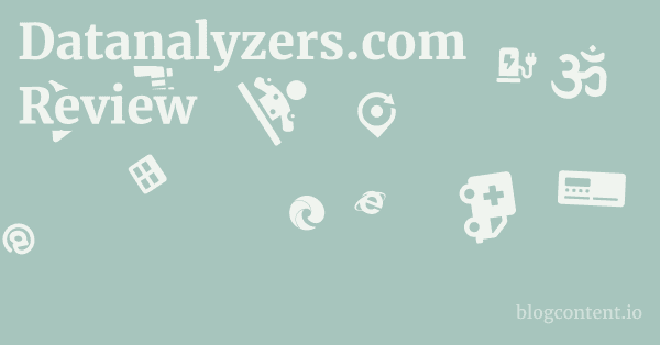 Datanalyzers.com Review 1 by Partners