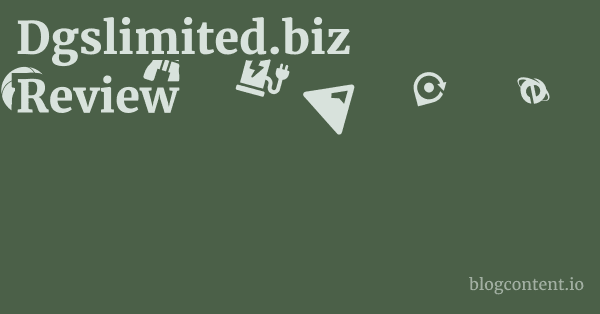 Dgslimited.biz Review 1 by Partners