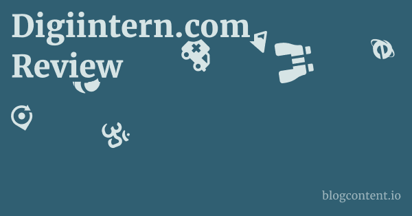 Digiintern.com Review