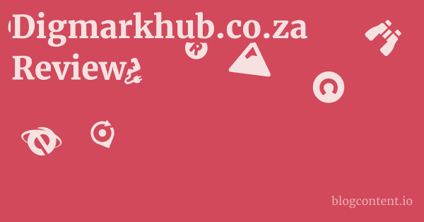 Digmarkhub.co.za Review
