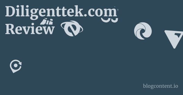 Diligenttek.com Review 1 by Partners